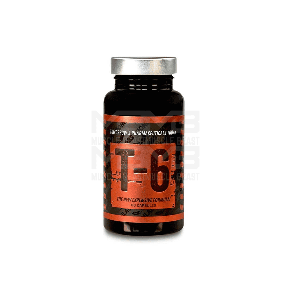 Zion Labs T-6 USA version 60 capsules