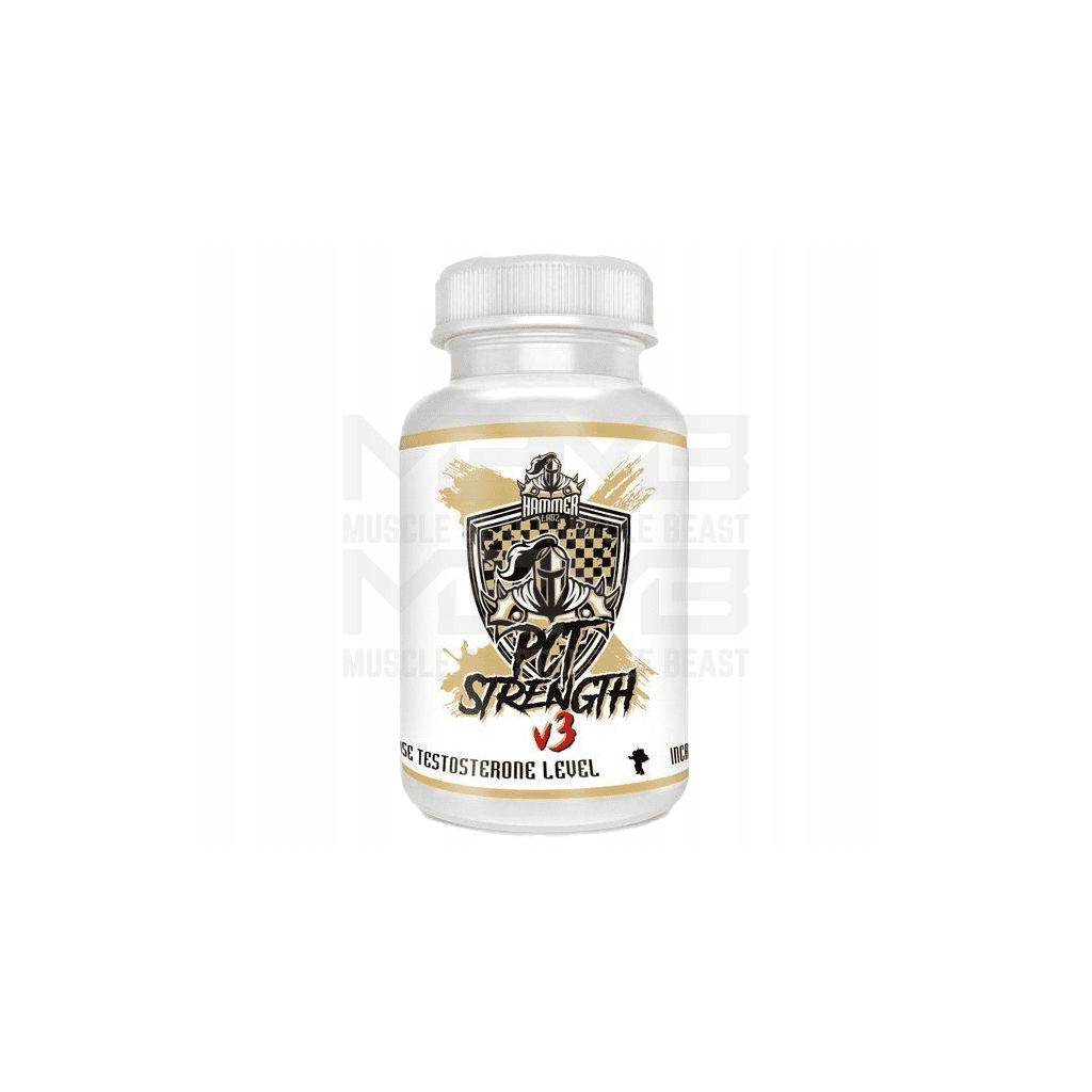 Hammer Labz PCT V3 60 capsules
